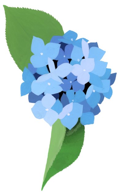Hortensie von Hiroyuki Izutsu