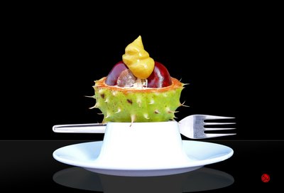 Herbstdessert von Hugo Nefe