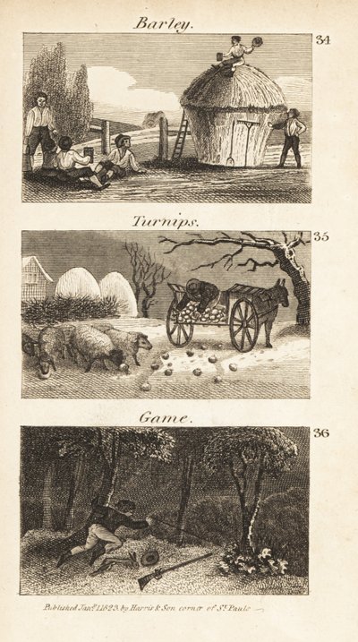 Berufe in Norfolk, Regency-England von Isaac Taylor