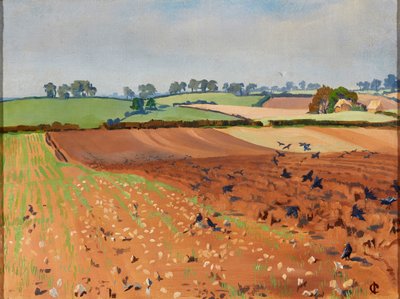 Gepflügtes Feld von Isabel Codrington