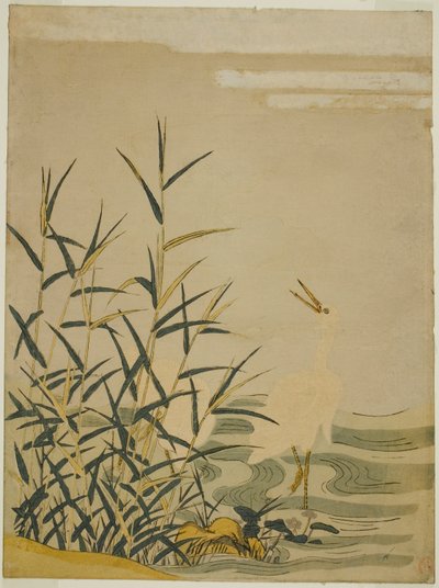 Reiher im Schilf von Isoda Koryusai