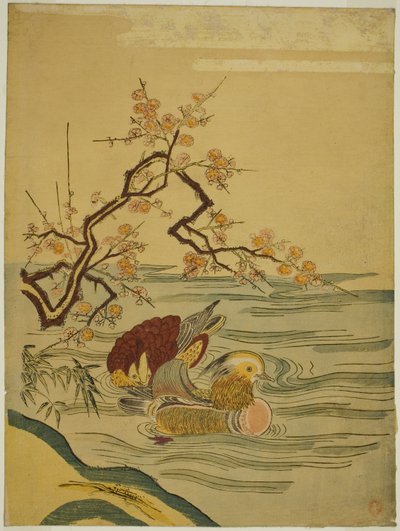Mandarinenten schwimmen unter einem Pflaumenzweig von Isoda Koryusai