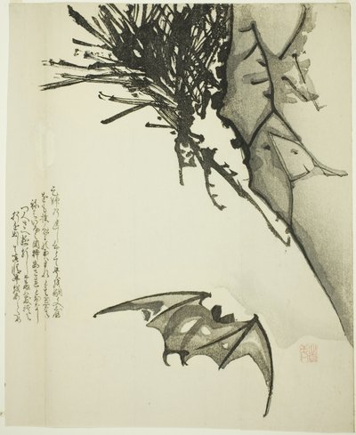 Eine Fledermaus fliegt in der Nähe eines Kiefernbaums von Issho Issho