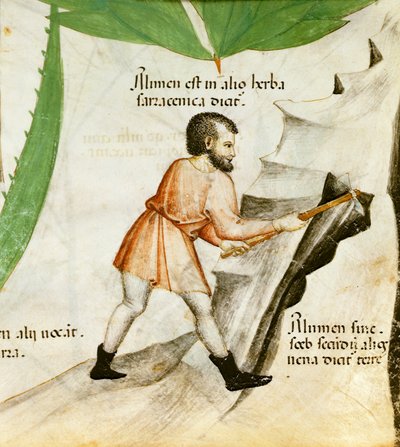 Alaunextraktion, ca. 1440 von Italian School