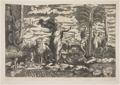 Gott erschafft die Tiere, um 1550 von Italian School