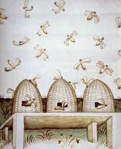 Nova 2644 fol.94v Bienenstöcke, aus Tacuinum Sanitatis von Italian School