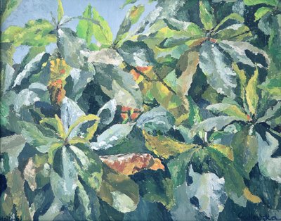 Pflanzen, 1961 von Izabella Godlewska de Aranda
