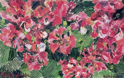 Rhododendron, 1962 von Izabella Godlewska de Aranda