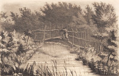 Teil des Gartens von Sanderumgaard von J.F. Clemens