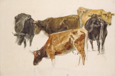 Studie einer Gruppe von Kühen von Joseph Mallord William Turner