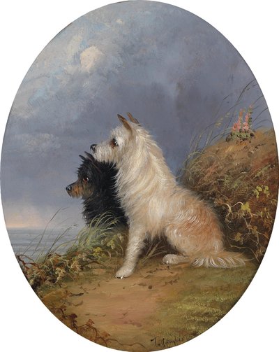 Zwei Hunde am Strand von J. Langlois