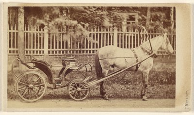 [Kleiner Wagen mit Pferd] von J. Monstein