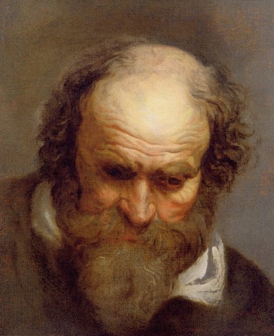 Kopf eines alten Mannes von Jacob Jordaens