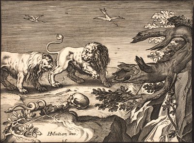 Zwei Löwen in der Natur von Jacob Matham