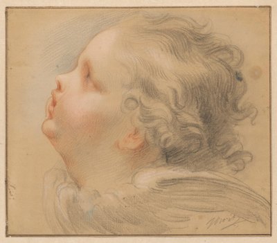 Kopf eines Cherubs, nach links von Jacob de Wit