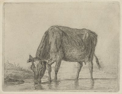 Trinkende Kuh von Jacobus Cornelis Gaal