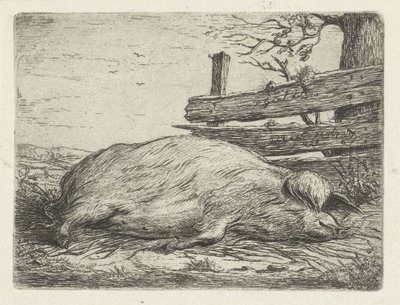 Liegendes Wildschwein von Jacobus Cornelis Gaal