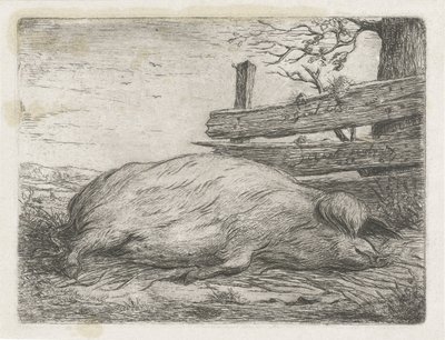 Liegendes Wildschwein von Jacobus Cornelis Gaal