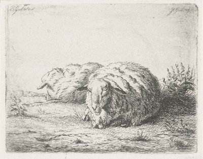 Zwei liegende Schafe von Jacobus Cornelis Gaal