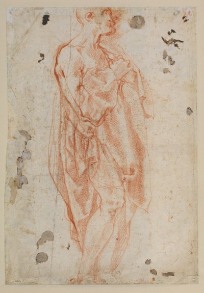 Studie für den Heiligen Hieronymus von Jacopo Pontormo