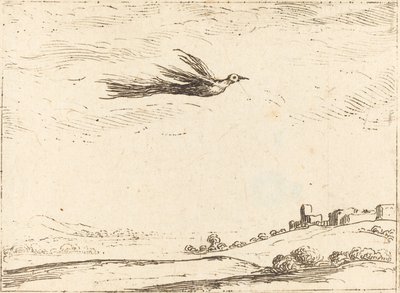 Paradiesvogel von Jacques Callot