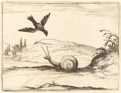 Krähe und Schnecke von Jacques Callot