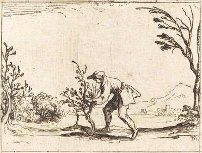 Mann, der einen Balsambaum schneidet von Jacques Callot