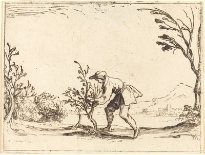 Mann schneidet einen Balsambaum von Jacques Callot