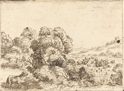 Schaf ruft Lamm von Jacques Callot
