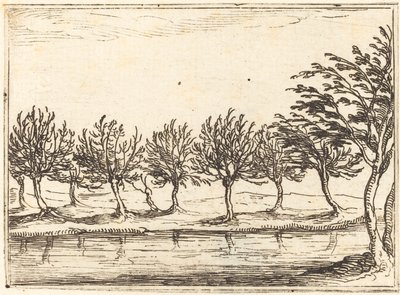 Weiden am Wasserufer von Jacques Callot