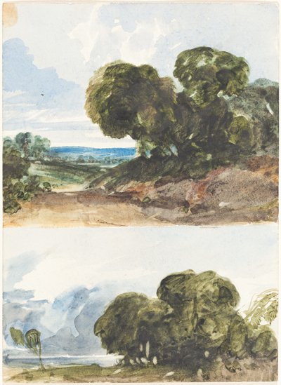 Zwei Skizzen von Bäumen von James Bulwer