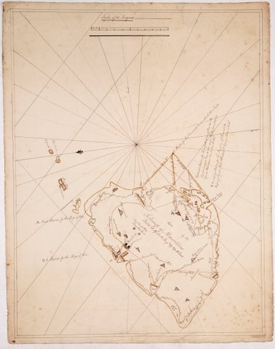 Insel Mauritius von James Campbell