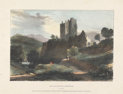 Dally Hooly Schloss von James Duffield Harding