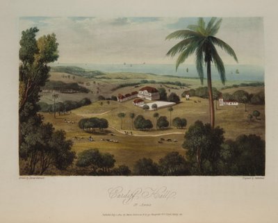 Cardiff Hall, St. Anns von James Hakewill