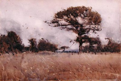 Wind von James Paterson