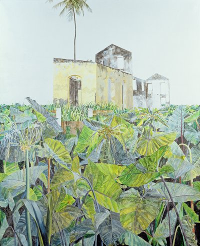 Ruine in einem Sumpf, Haiti, 1971 von James Reeve