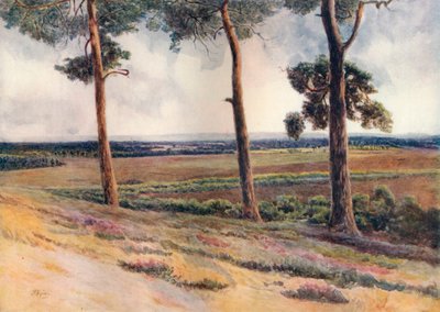 Blick von Staple Hill, 1911 von James S Ogilvy