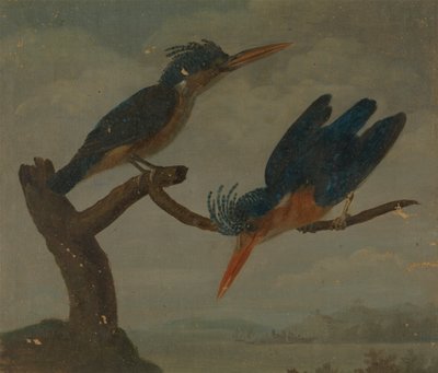Zwei Eisvögel an einem See von James Sowerby
