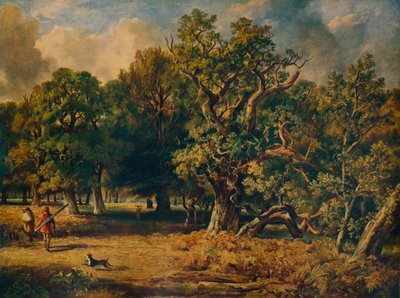 Windsor Forest, um 1835 von James Stark