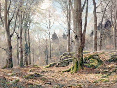 Ein walisischer Wald von James Thomas Watts