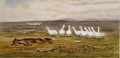 Ein Spiel von Fuchs und Gänsen von James W. Usher