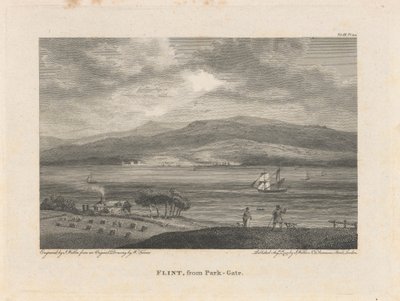 Flint, von Park-Gate von James Walker