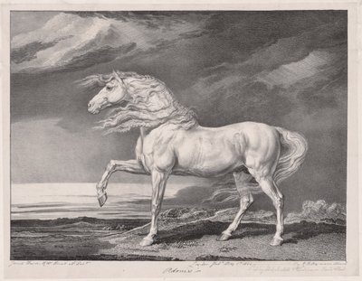 Vierzehn berühmte Pferde: Adonis, 1824 von James Ward