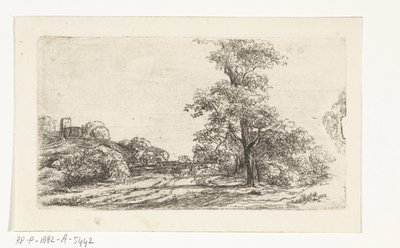 Landschaft mit einem Baum von Jan Andries Töpfer