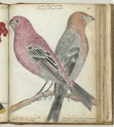 Schwedische Vögel von Jan Brandes