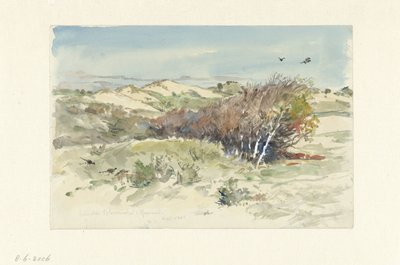 Dünenlandschaft zwischen Bloemendaal und IJmuiden von Jan Hoynck van Papendrecht