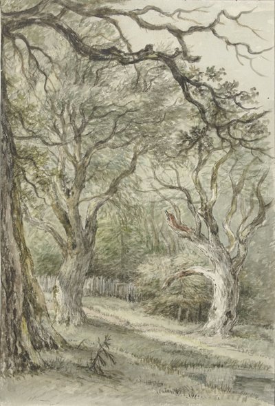Waldansicht von Jan Hulswit