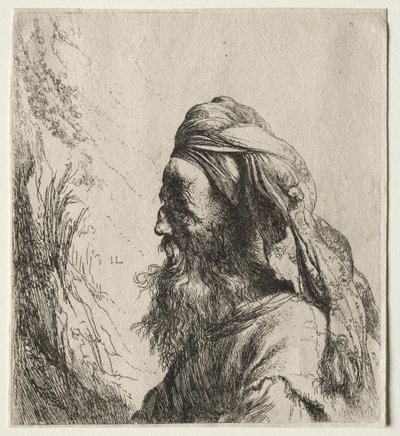 Kopf eines Orientalen, 1600er von Jan Lievens