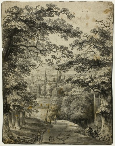 Blick auf die Stadt von der Straße auf dem Hügel von Jan Looten