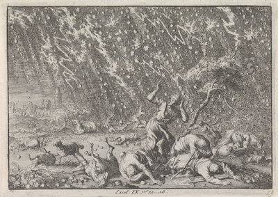 Plage von Hagel und Gewitter von Jan Luyken